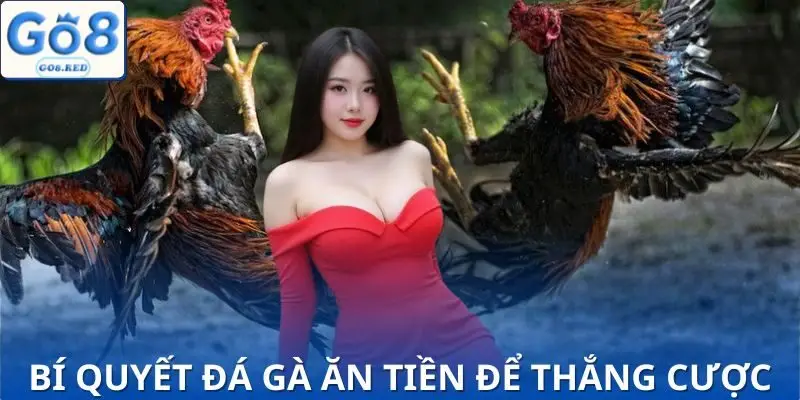 Đá Gà Ăn Tiền Online - 3 Bí Kíp Thắng Lớn Cho Tân Thủ 4 Chiến thuật “bách chiến bách thắng” trong đấu kê