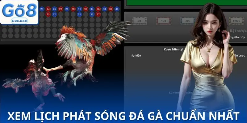 Các bước để xem lịch phát sóng đá gà tại GO8