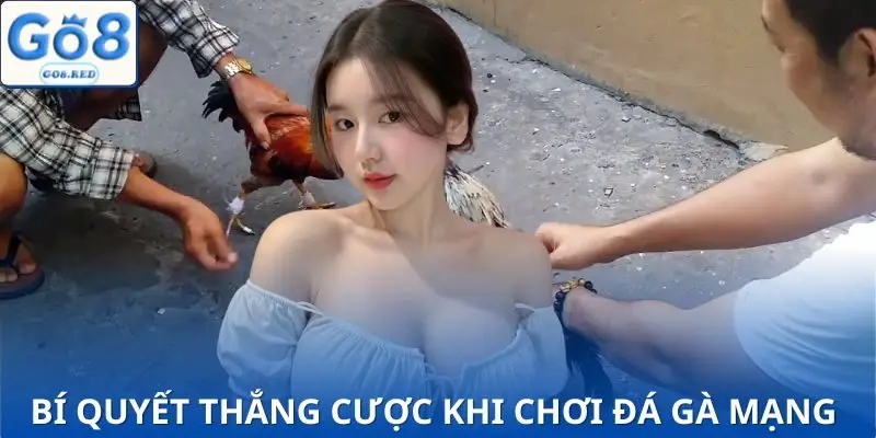Mẹo Chơi Đá Gà Mạng | Giúp Bạn Tăng 80% Cơ Hội Thắng 4 3 tuyệt chiêu chơi đá gà mạng mà dân chuyên nào cũng biết