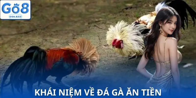 Đá Gà Ăn Tiền Online - 3 Bí Kíp Thắng Lớn Cho Tân Thủ 2 Giải thích rõ đá gà ăn tiền online