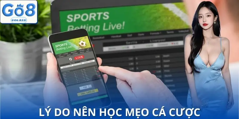 Vấn đề cần hiểu để áp dụng đúng mẹo cá cược